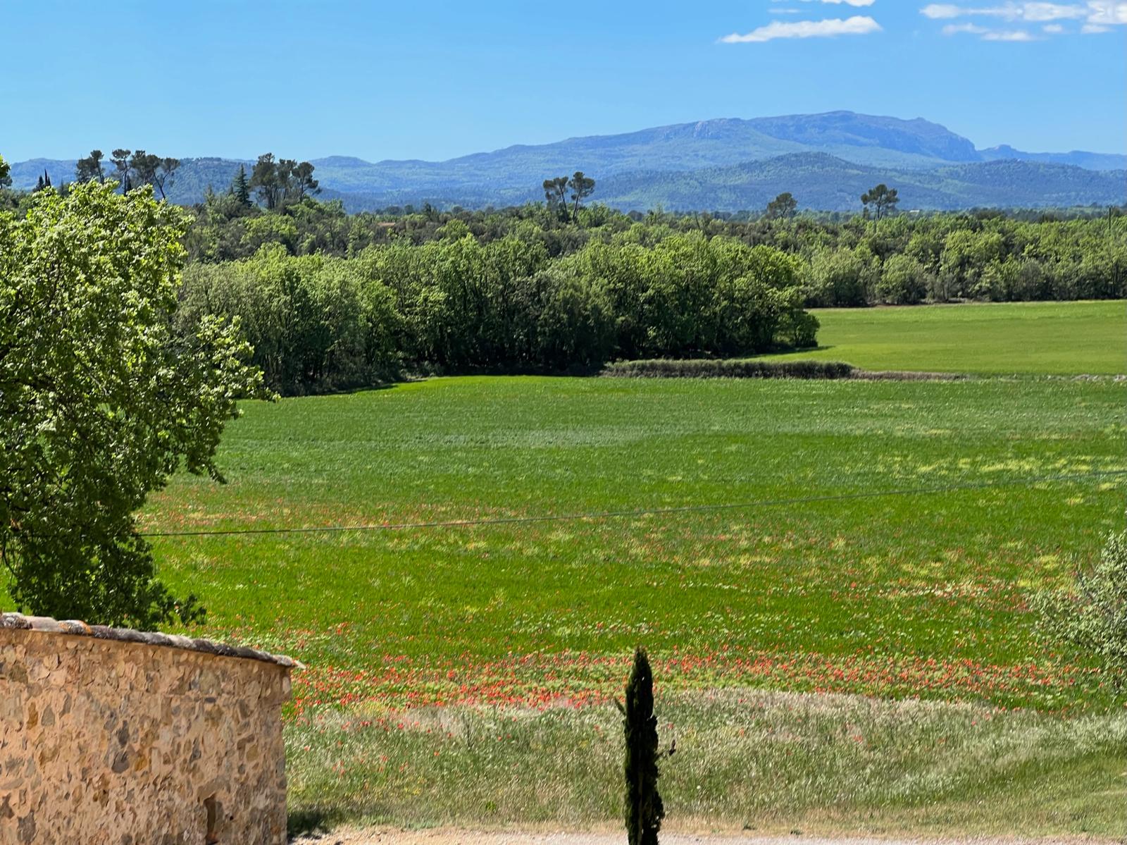 Vue sur les montagnes